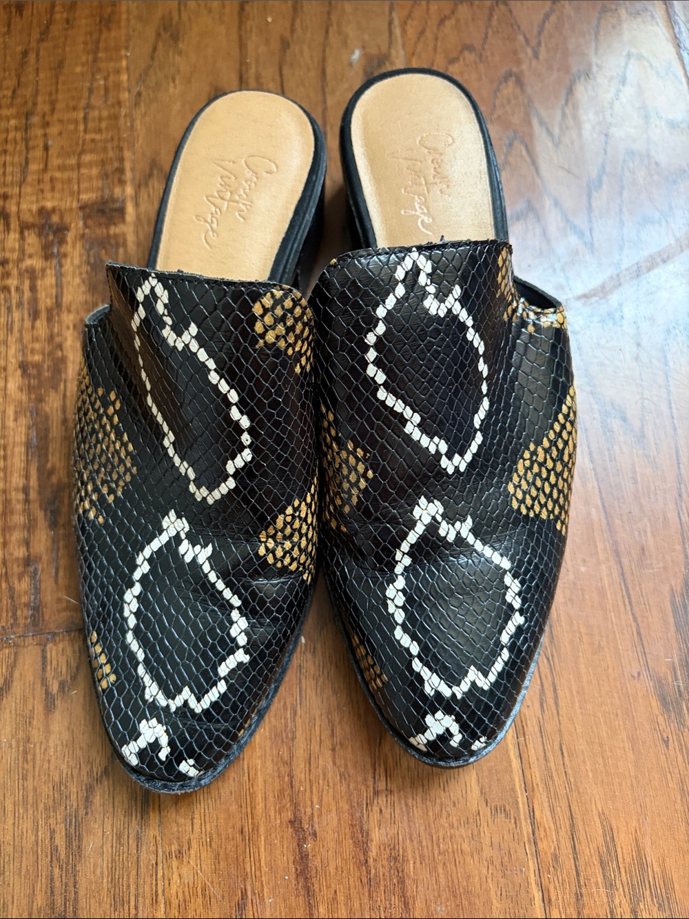 Crown Vintage Black & Tan Snake-Print Slip-On Mules